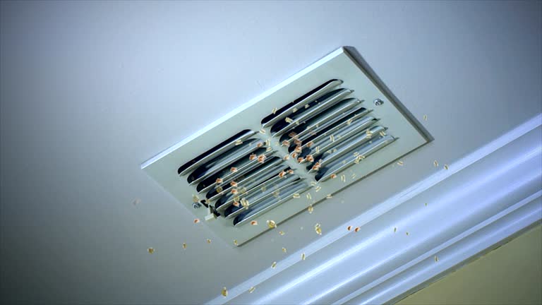 Best Emergency Air Duct Cleaning  in Waterloo, NE