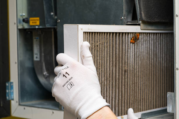 Best Air Duct Cleaning Near Me  in Waterloo, NE