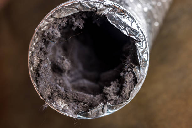 Best Ductwork Cleaning Services  in Waterloo, NE