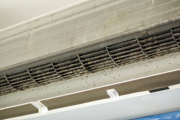 Best Commercial HVAC Duct Cleaning  in Waterloo, NE