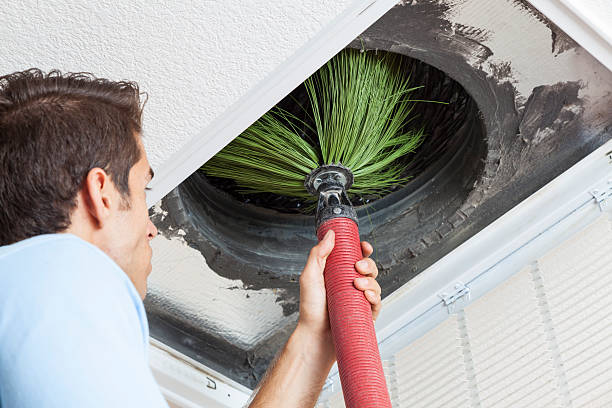Best Dryer Vent Cleaning Services  in Waterloo, NE