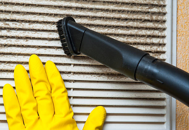 Best Best Air Duct Cleaning Company  in Waterloo, NE
